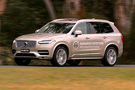 Volvo Cars приступает к испытаниям систем безопасности для предотвращения столкновений с кенгуру